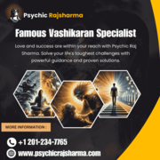 Psychic RajSharm Famous Vashikaran Specialist Astrologer in New Jersey