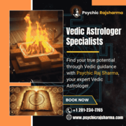 Famous Vedic Astrologer in New Jersey