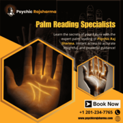 Psychic Raj Sharma | Palm Reading Specialists in New Jersey